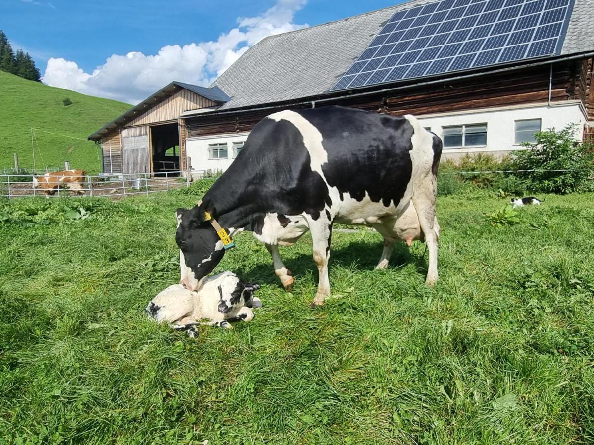 Kulmerhof - Farm Apartman Pruggern Kültér fotó