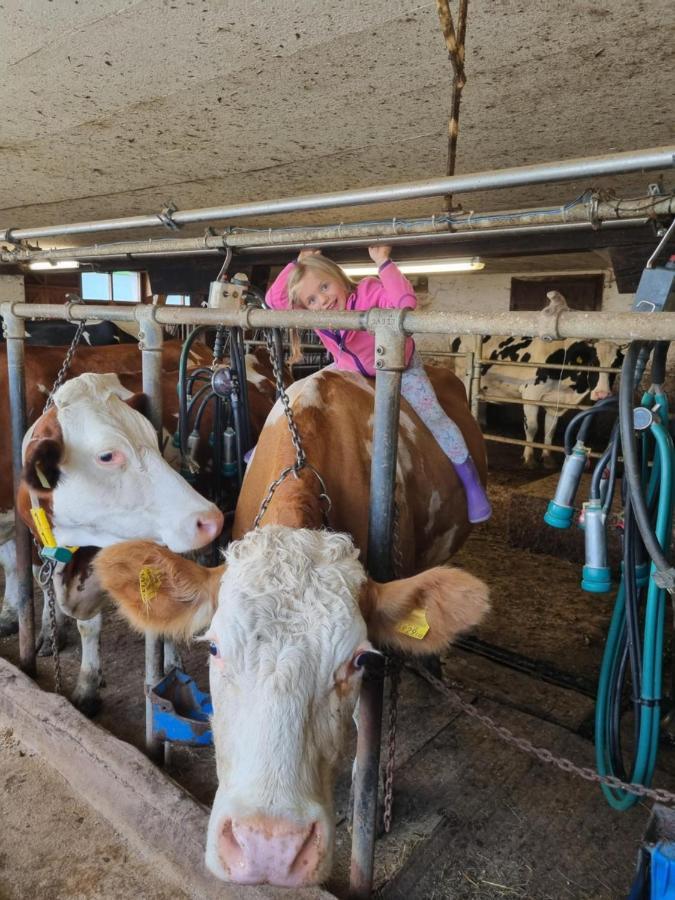 Kulmerhof - Farm Apartman Pruggern Kültér fotó