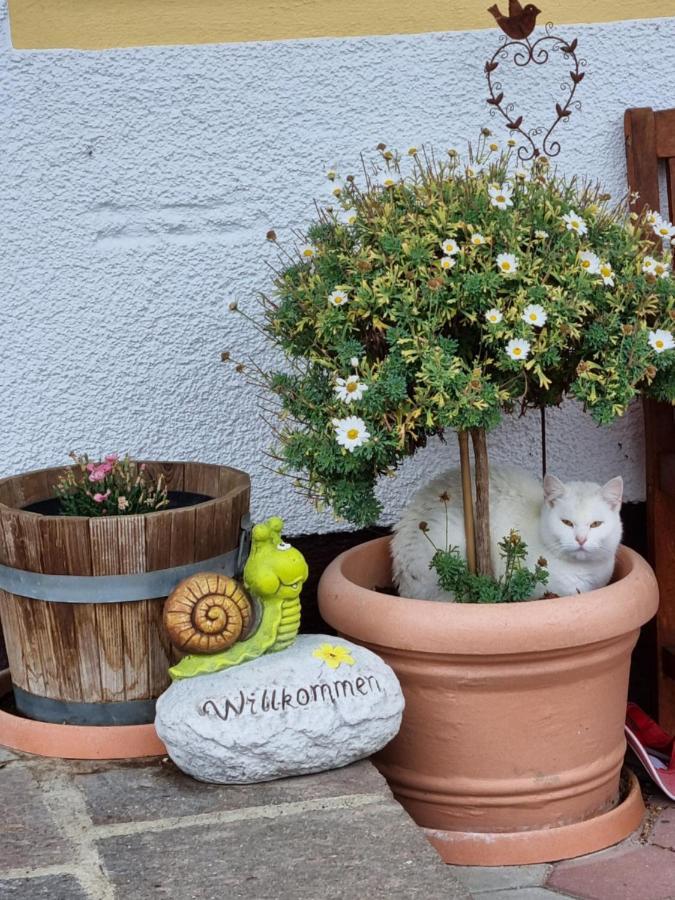 Kulmerhof - Farm Apartman Pruggern Kültér fotó